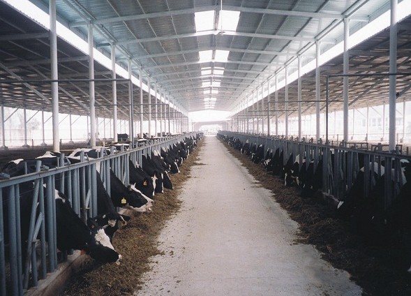 融創衛生級渦輪流量計助推大型奶牛場實現自動化